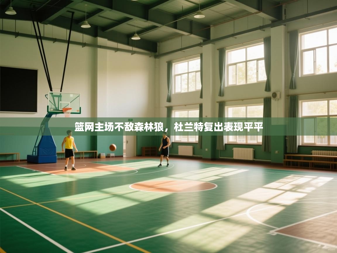 篮网主场不敌森林狼，杜兰特复出表现平平