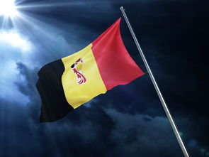 开云体育官方网站-顶级足球对决不负众望，球队争分夺秒