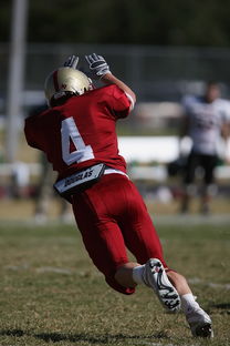 开云体育在线观看-巴萨新赛季引援大揭秘：球队转会名单曝光